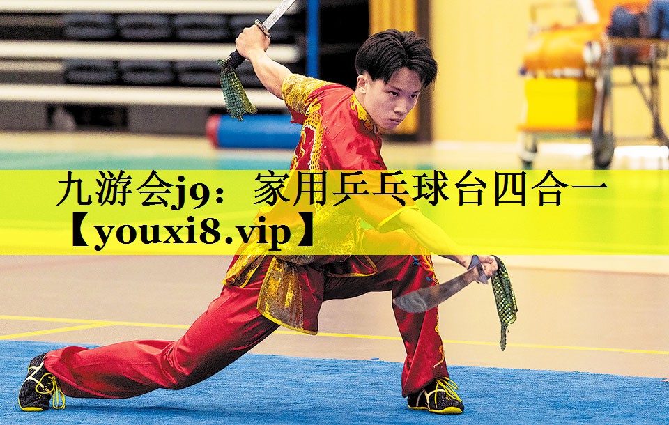 家用乒乓球台四合一