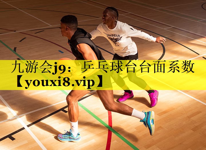 乒乓球台台面系数